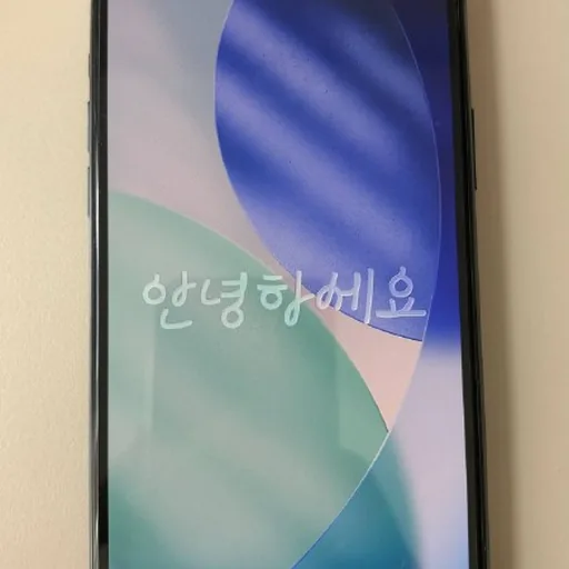 Iphone 11 pro max 64 gb