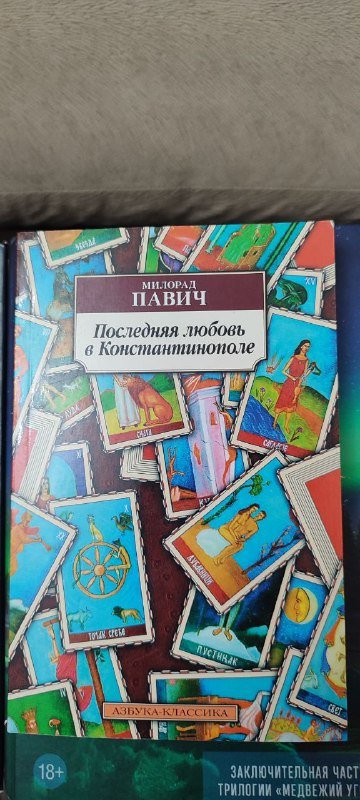 Книги: Моя гениальная подруга, Последняя любовь, После бури, The Oak Openings, Жила лиса, Состояние - Питер 2