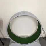 Фикус Бенджамина 4