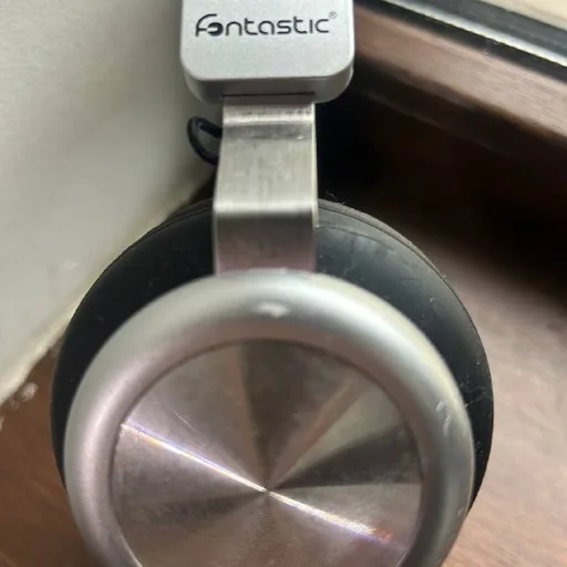 Fontastic BaXx Black/Silver ყურსასმენები