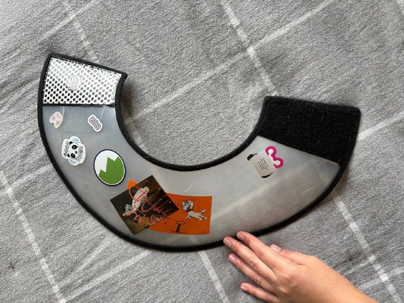 Ветеринарный колпак для собак и котов