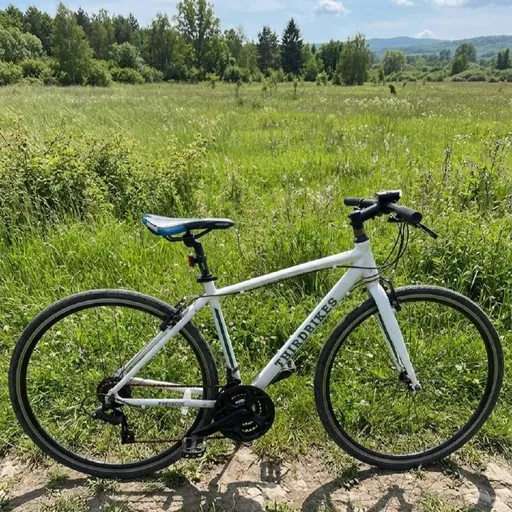 THIRDBIKES Fescross велосипед