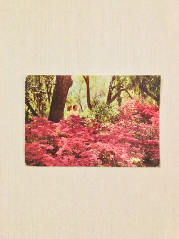 Коллекционные открытки 8