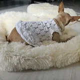 Лежанки и матрасик для собак и кошек 6