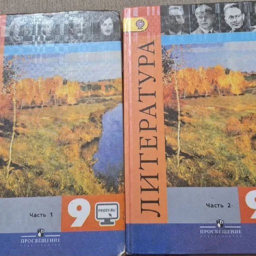 Литература 9 класс, 2 части