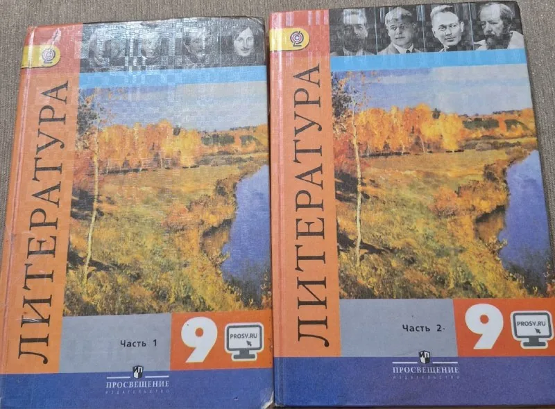 Литература 9 класс, 2 части