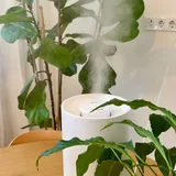 Увлажнитель воздуха Xiaomi Smart Humidifier 2 2