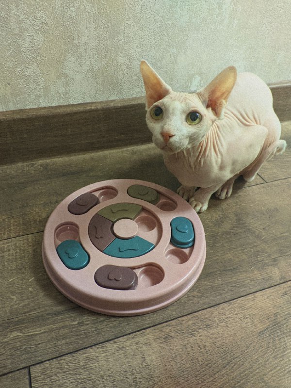 Когтеточка столбик, 2 лотка, кормушка, щетка, комбинезон для животных 5