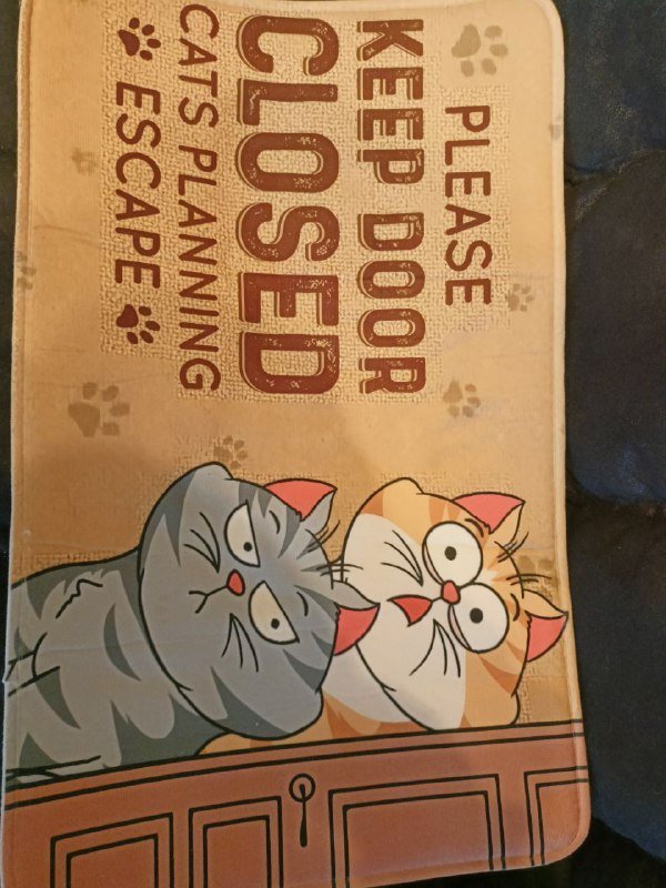 Подарочный комплект для кота с котёнком