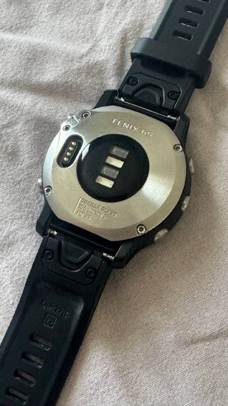 Часы Garmin Fenix 6s 3