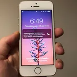 iPhone 5S 2