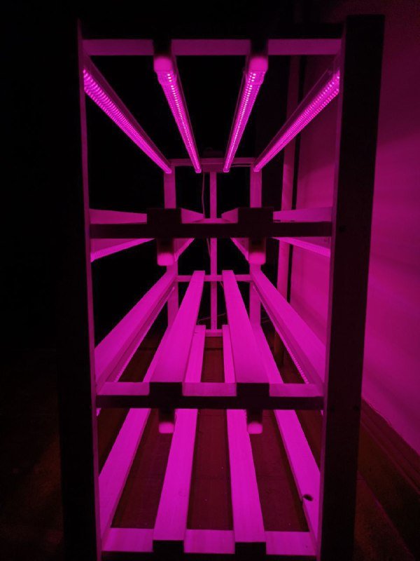 Неоновая полка с фитолампами ручной работы 3