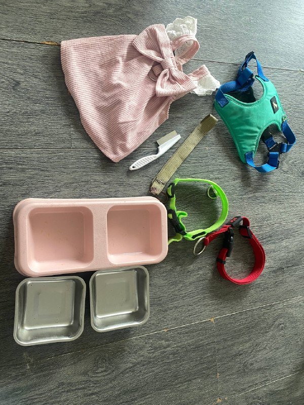 Вещи для собак: миска, ошейники, шлейка, одежда, щетка