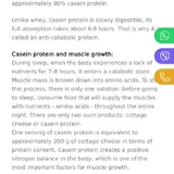 Протеин casein 3