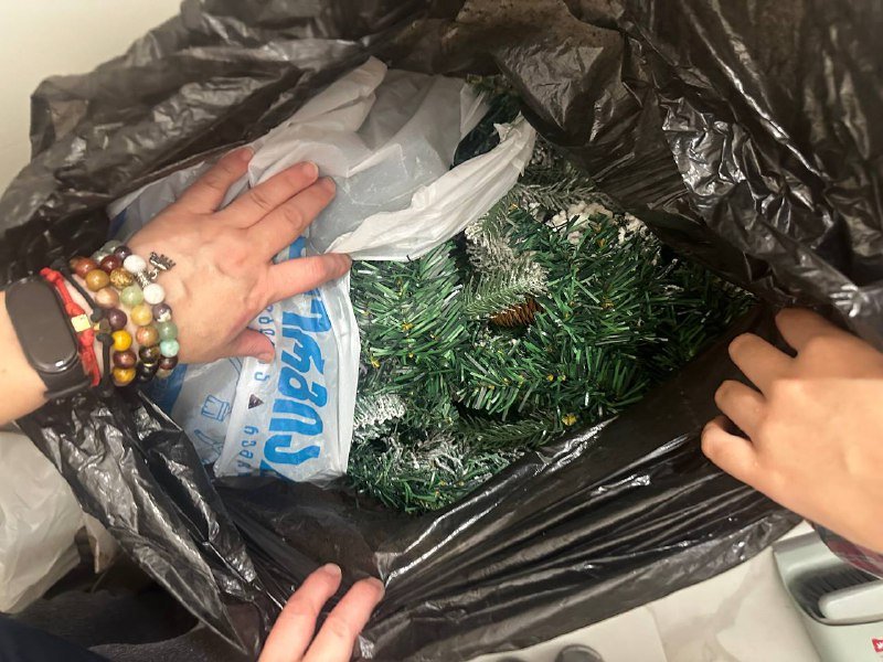 Длинная ветка елки украшение на Новый год 2