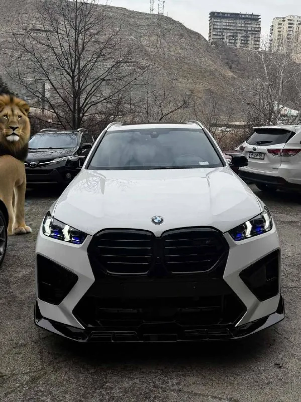 BMW X5 2019