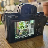 Камера Sony A7 III с объективом Sigma 24mm F1.4 4