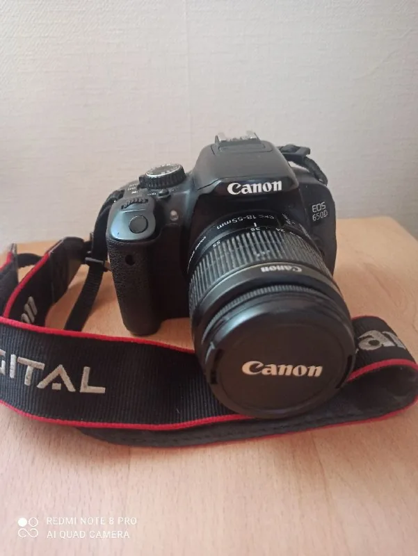 Фотоаппарат Canon, навигатор Garmin, фонарь, палки, рюкзаки, плита 1
