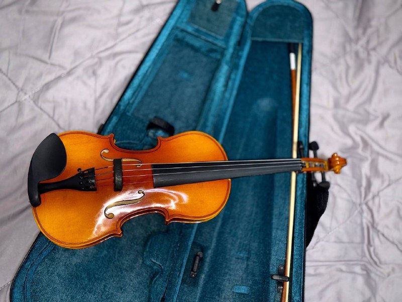 Скрипка со смычком, канифолью и чехлом 2