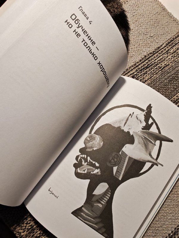 Книги Духовный интеллект, Homo Mutabilis 5