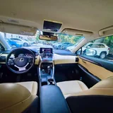 Lexus NX 300 2019 4