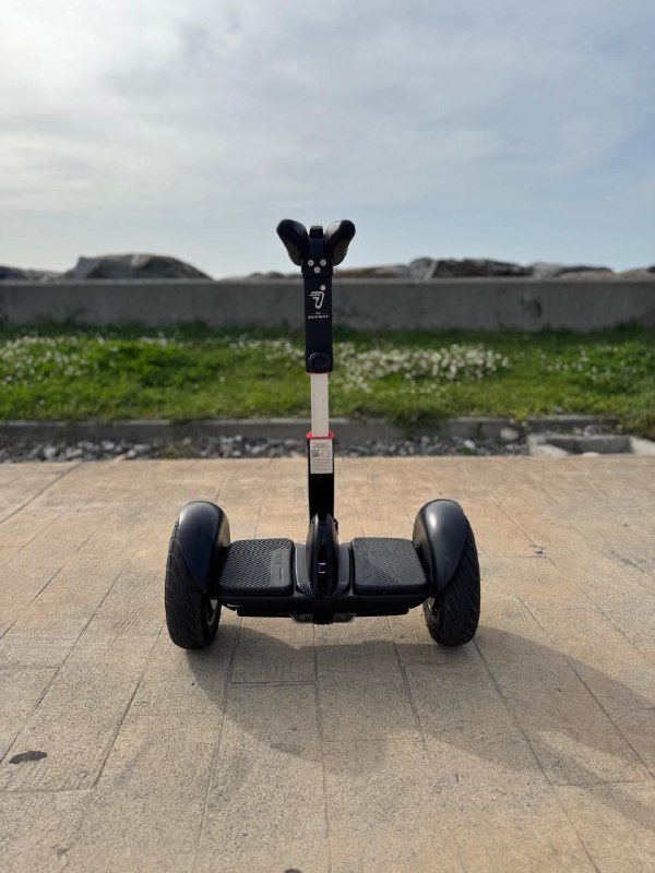 Гироскутер Segway ninebot miniPro 8