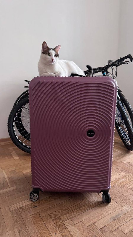 Чемодан XL на 4 колеса