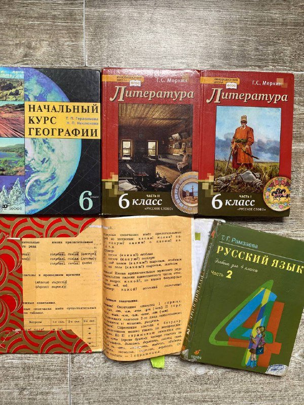 Учебники по географии, литературе, русскому языку