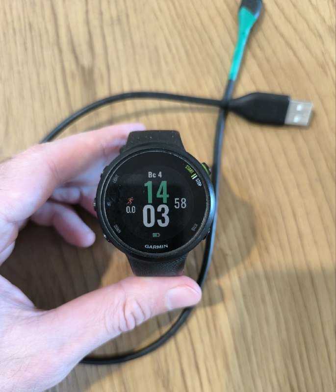 Беговые смарт часы Garmin Forerunner 45 3