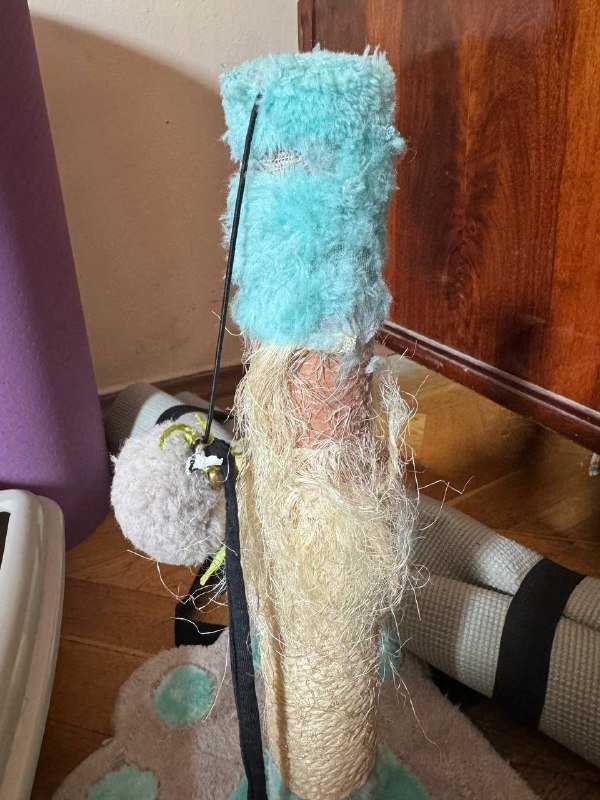 Лоток, когтеточка, шлейка с поводком для кошки/собаки 3