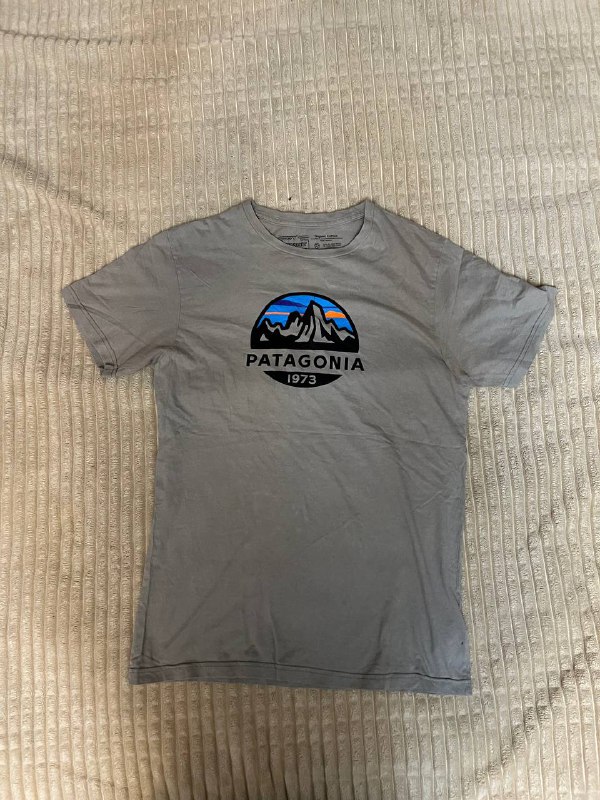 футболка patagonia