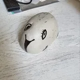 Капибара из камня 1