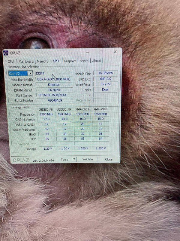 Компьютер с монитором, мышью и креслом 10