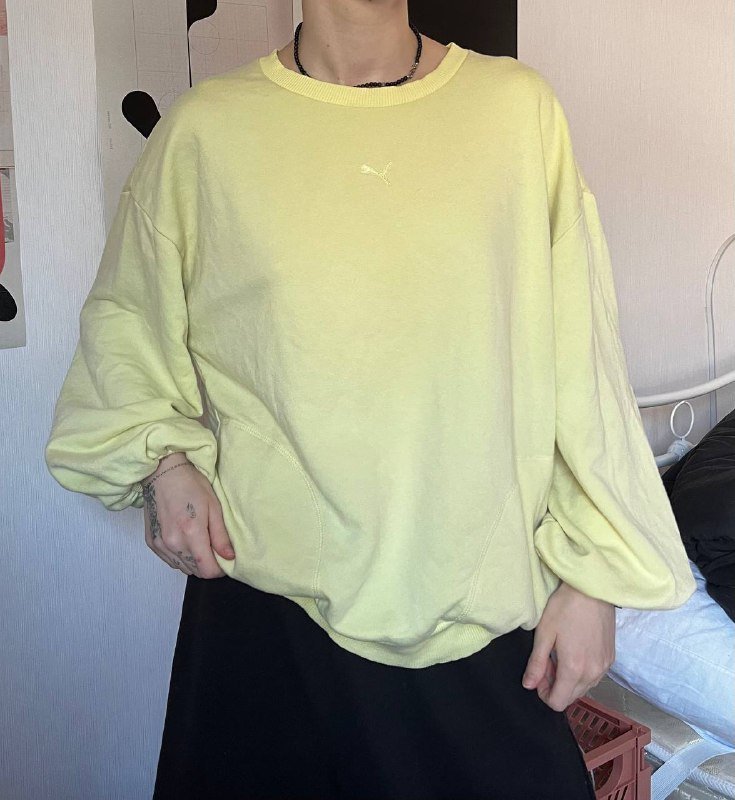 свитшот Puma, кофта ZNY, худи коричневое, кофта-сетка, 2 рамки JYSK, диффузор Dyson 2