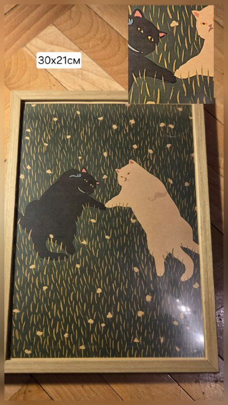 Парфюм Nobody knows, Prodigieux, Wild temptation 7