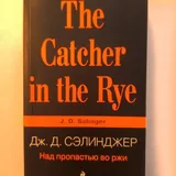 Книги: Сэлинджер, Шекспир, Рембо, Чехов и другие 2