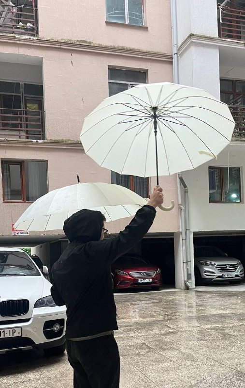 Зонт с цветочным рисунком