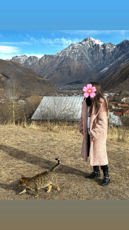 Шубка Тедди 50% шерсть 50% вискоза с кепкой