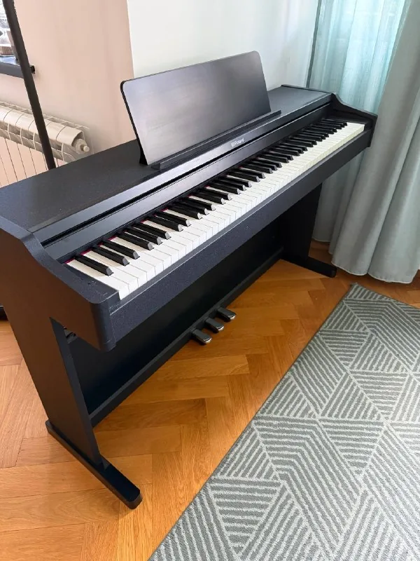 Π¦ΠΈΡΡΠΎΠ²ΠΎΠ΅ ΠΏΠΈΠ°Π½ΠΈΠ½ΠΎ Roland RP107 1