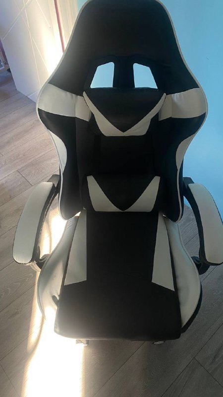 Стул кресло, Айкос, Растение алоказия 2