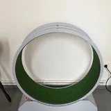 Фикус Бенджамина 3