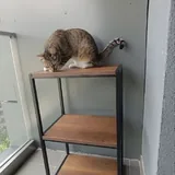 Стеллаж 1