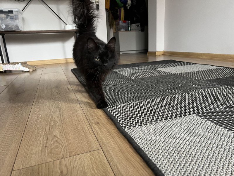 Ковёр безворсовый 120х170 2