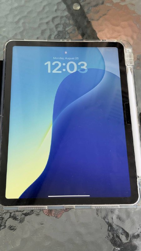 iPad Air 11" M2 256 ГБ Wi-Fi, Apple Pencil Pro, чехол 4