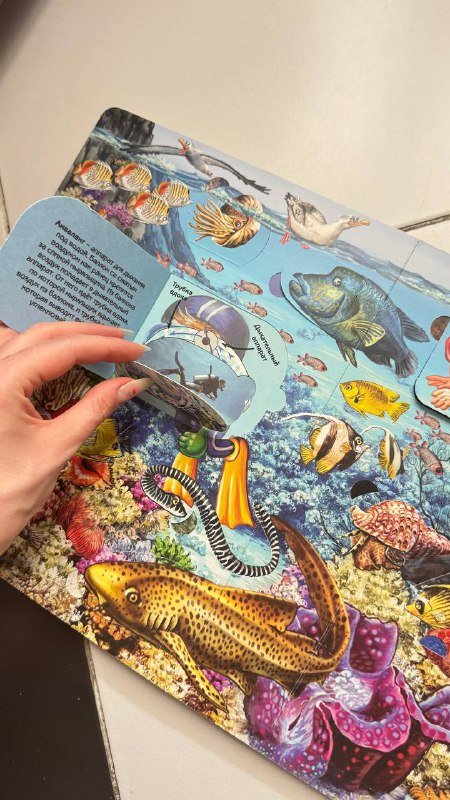 Книжки с окошками Транспорт, Что там под водой 6