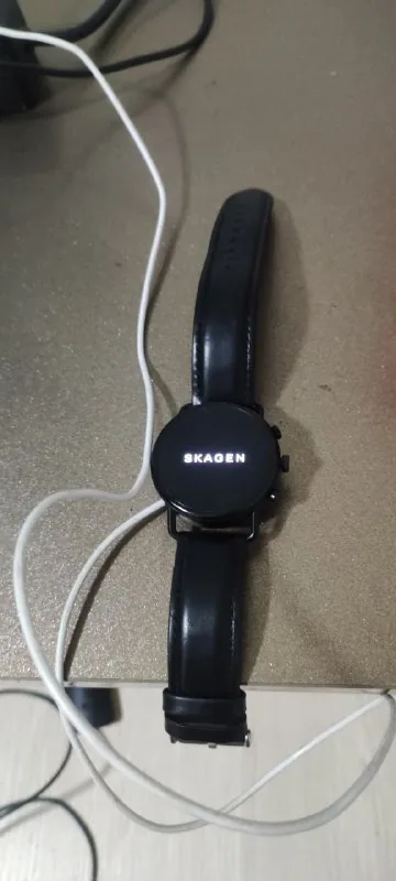Skagen Falster 3 1