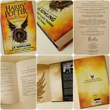 Пепельный дом, Викинги, Hygge, Сад ведьмы, Mapmakers, Harry Potter 5