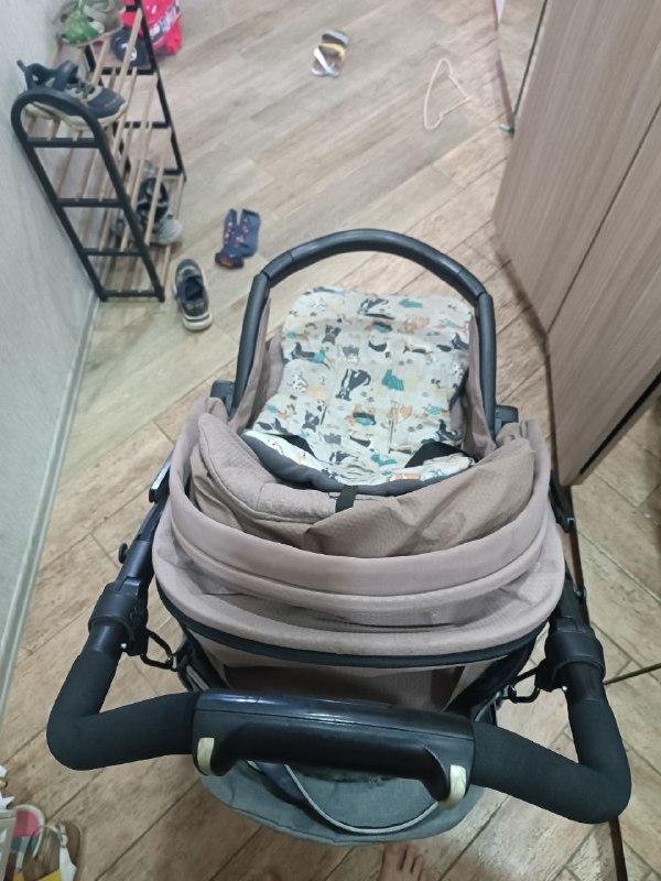 Коляска Peg Perego 2