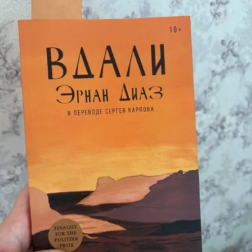 Книга Вдали