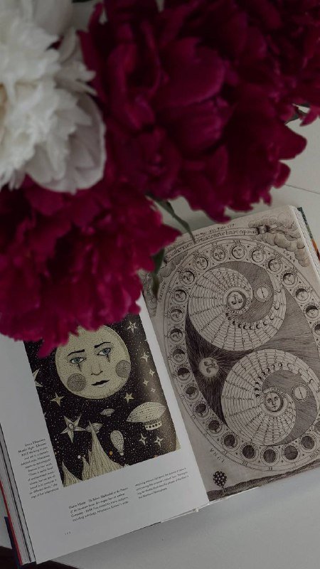 Книга по астрологии Astrology. The Library of Esoterica 3